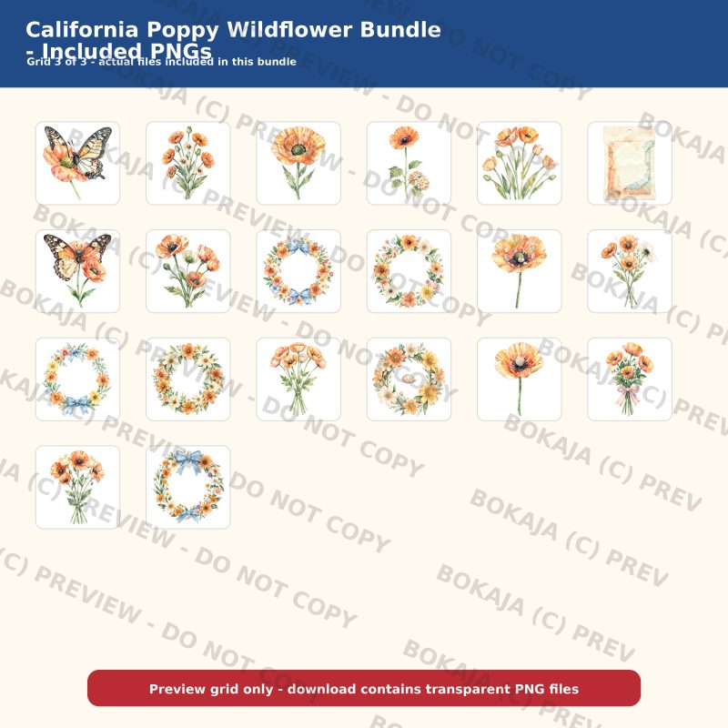 California Poppy Wildflower Bundle gallery image 4