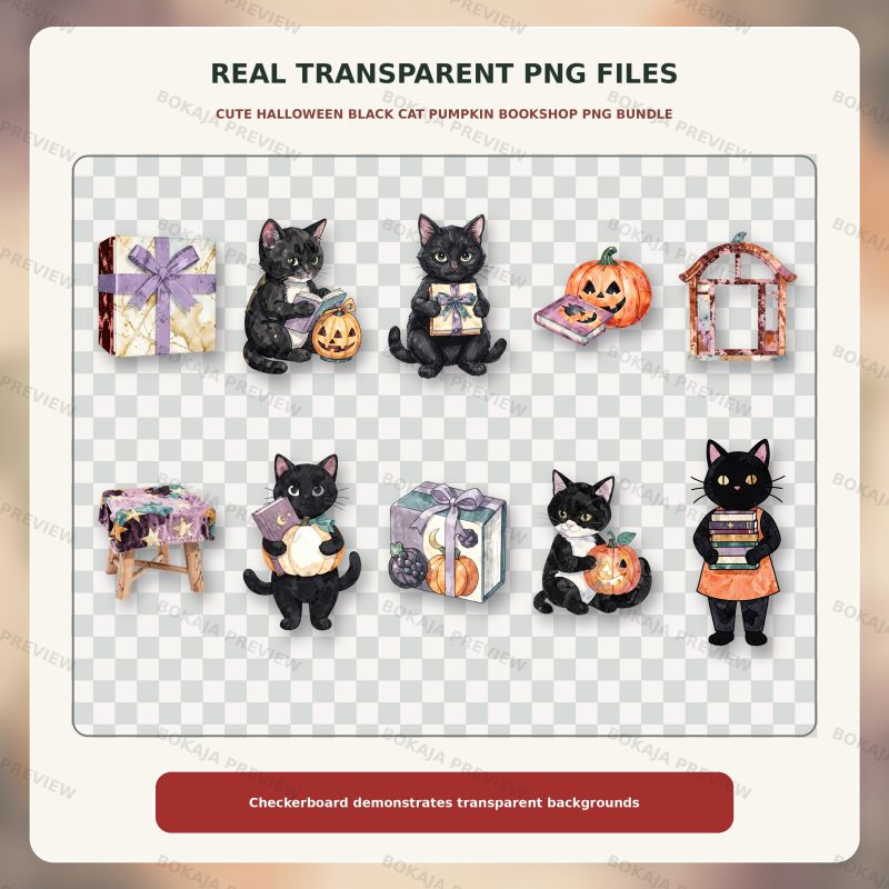 Cute Halloween Black Cat Pumpkin Bookshop PNG Bundle image 4