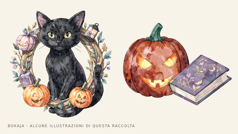 Illustrazioni dalla raccolta PNG La graziosa libreria di Halloween con gatti neri e zucche