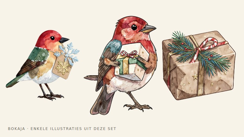 Illustraties uit de PNG-collectie Aquarelatelier voor kerstcadeaus inpakken met roodborstje